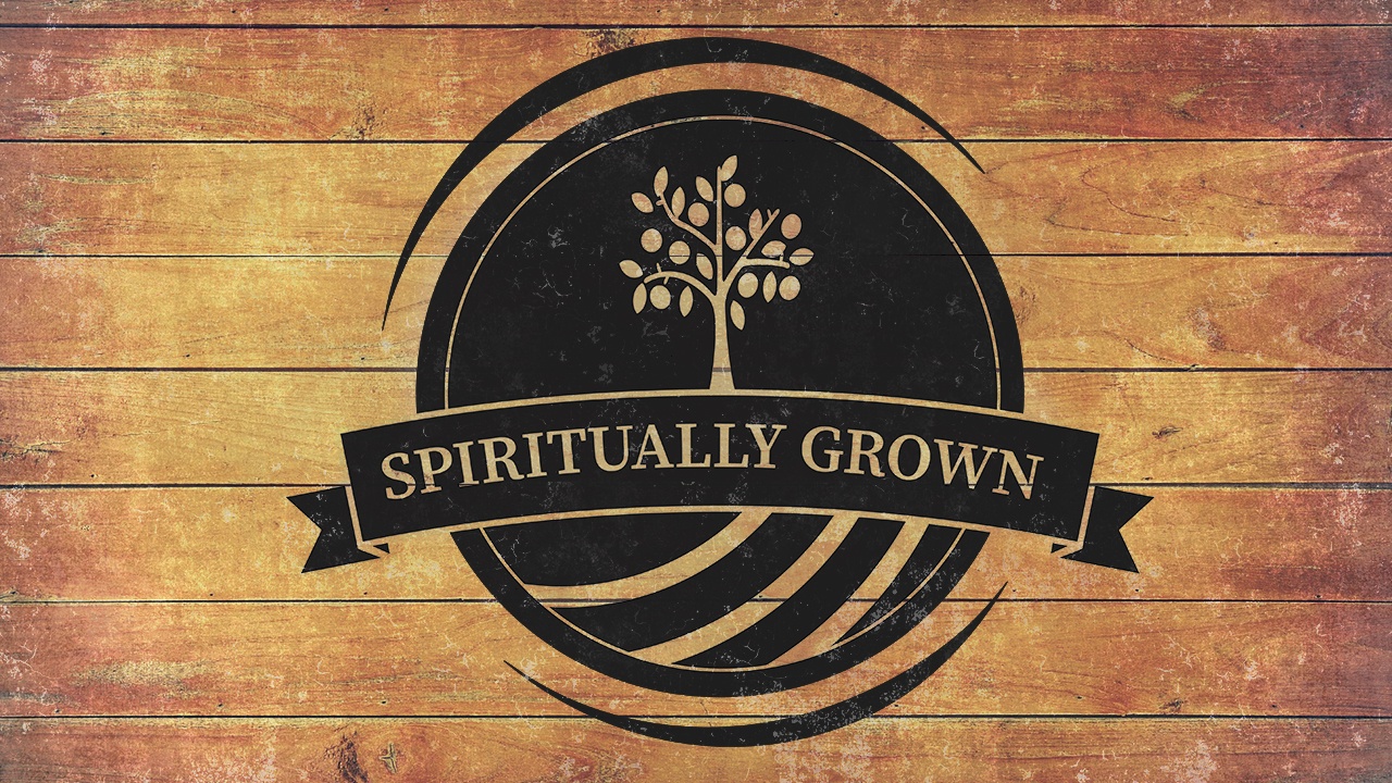 Spiritually Grown: Family of God episode artwork