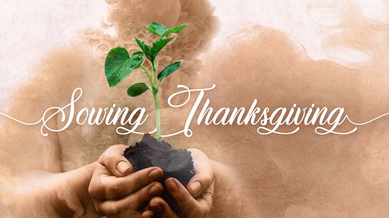 Sowing Thanksgiving episode artwork